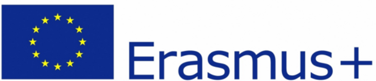 Erasmus Erasmus