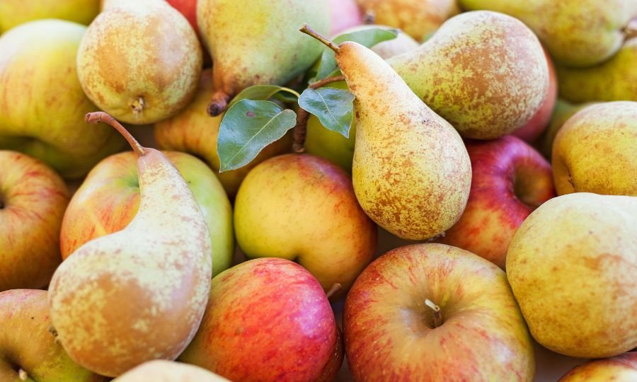 Dekorativna slika: jabolka in hruške, pomešana na kupu