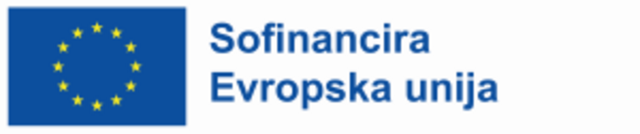 Sofinancira Evropska unija Logotip z zastavo EU desno in napisom levo: Sofinancira Evropska unija