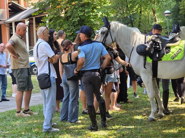Obiskovalci si ogledujejo in božajo policijska konja, na Dnevu odprtih vrat Policijske akademije v Tacnu, Ljubljana, 6. avgusta 2026.