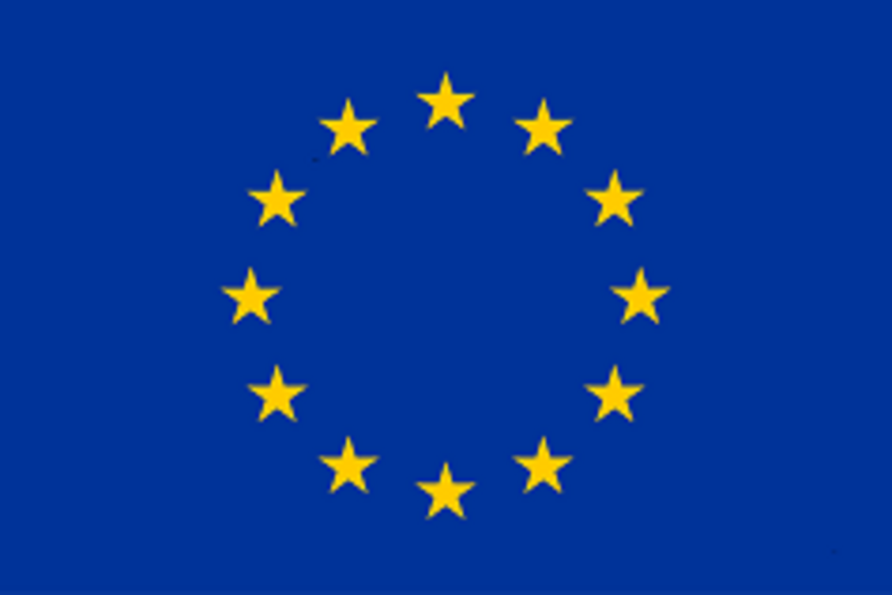 Logo Evropske unije Logo EU: modra zastava Evropske unije, na njej 12 rumenih peterokrakih zvezd, razporejenih v krogu