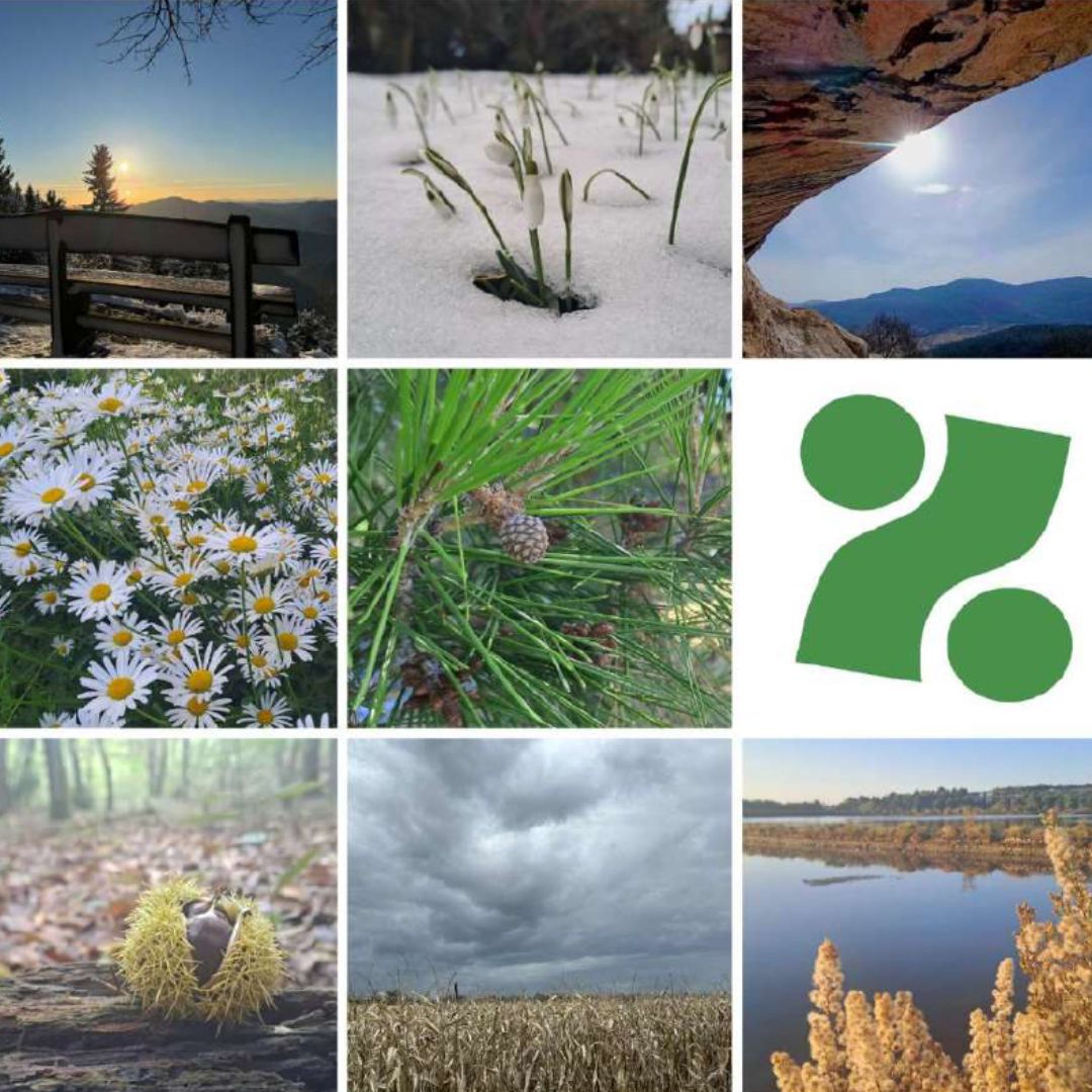 Slika z naslovnice Kolaža dogodkov in aktivnosti Zavoda RS za zaposlovanje v letu 2025: različne pokrajine